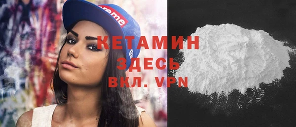 индика Ельня