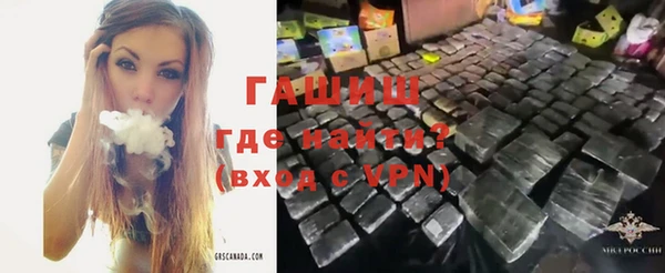 индика Ельня