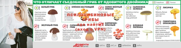 индика Ельня