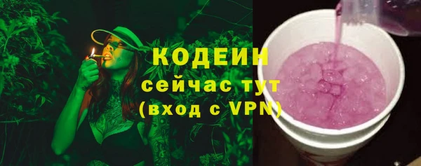 индика Ельня