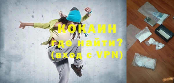 индика Ельня