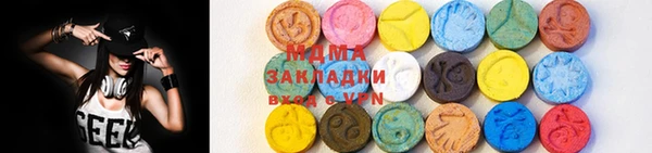 индика Ельня