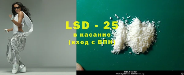 индика Ельня