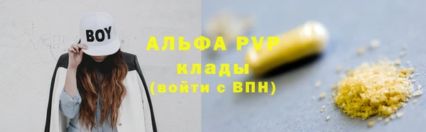 индика Ельня