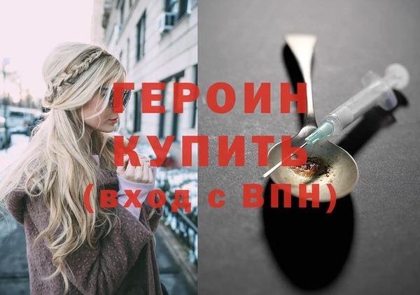 индика Ельня