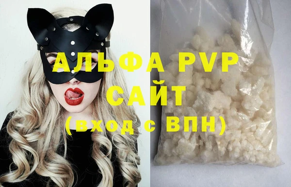 индика Ельня
