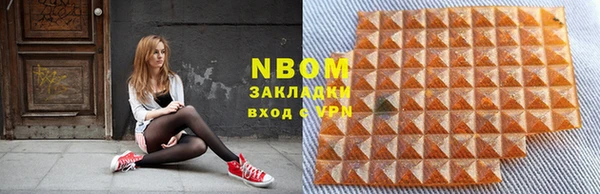 индика Ельня