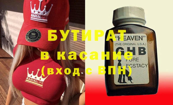 индика Ельня