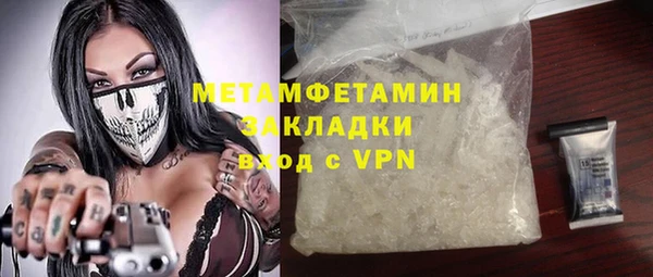 индика Ельня