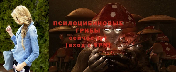 ешки Заводоуковск