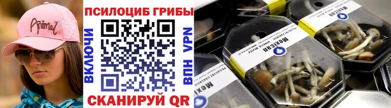 Купить где  Краснозаводск  Галлюциногенные грибы MAGIC MUSHROOMS 