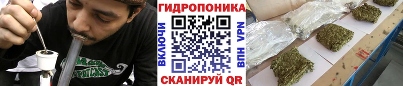 Бошки Шишки тримм  Купить закладки  Краснозаводск 